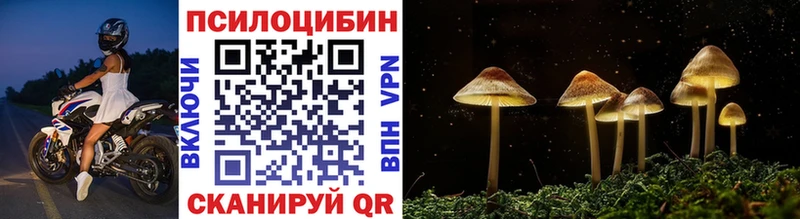 Галлюциногенные грибы Cubensis  Грозный 